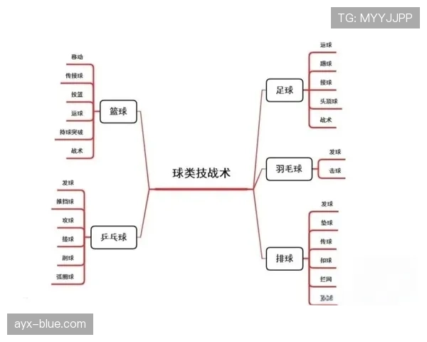 篮球边线发球规则的具体执行流程与限制